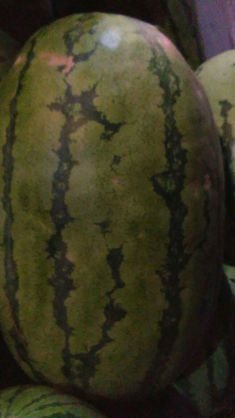 个头大，瓤口好，开园西瓜有想要的联系我，