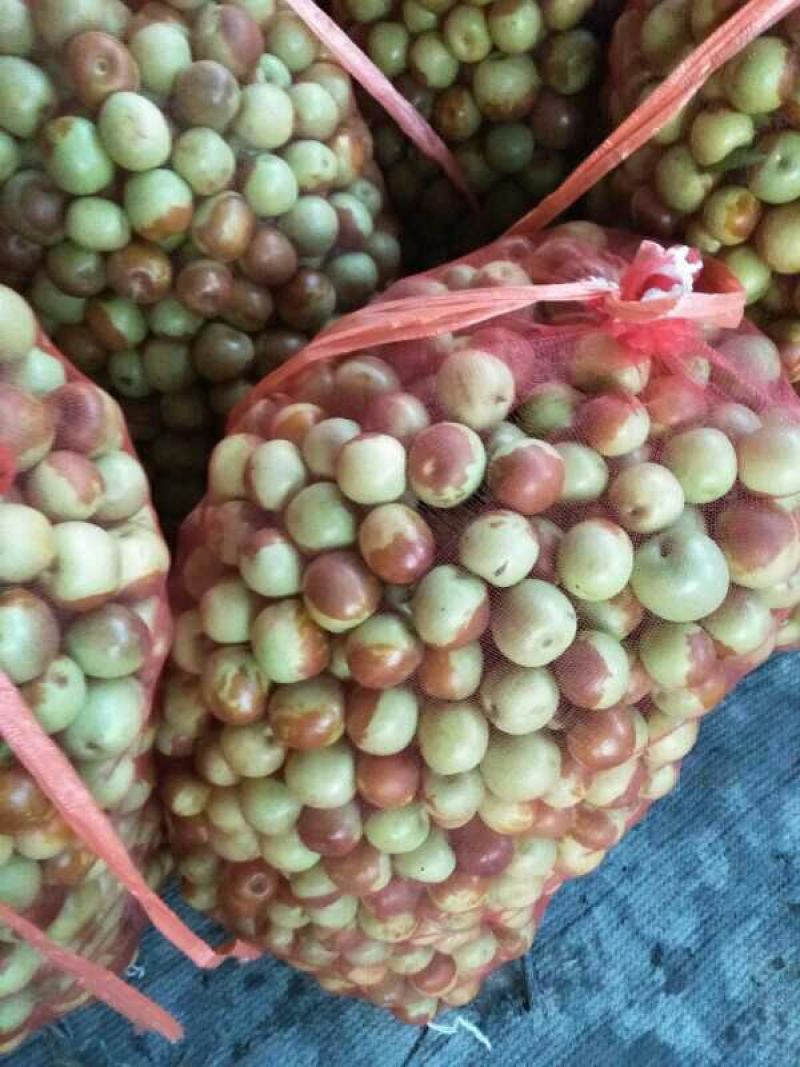 早脆王枣基地直供肉质鲜厚口感好是休闲食品