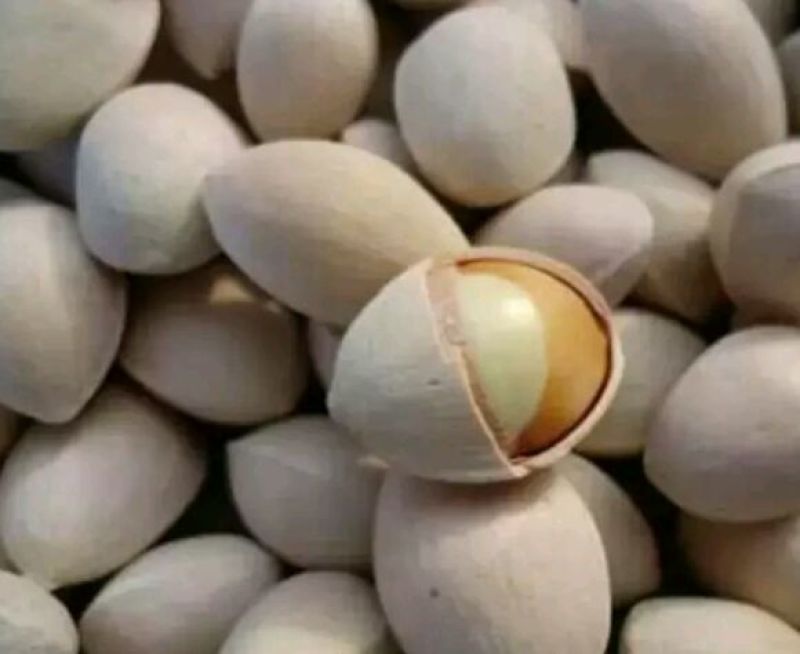银杏果