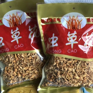 虫草花