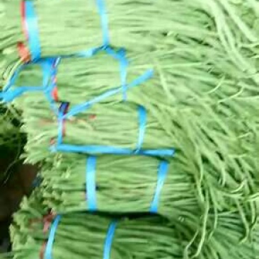 长豆角