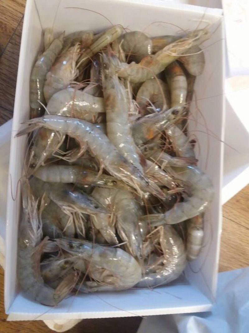 青岛大虾，厄瓜多尔白虾