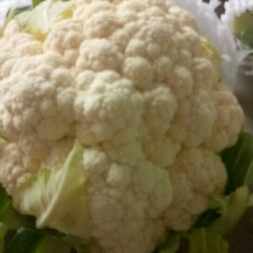 精品菜花