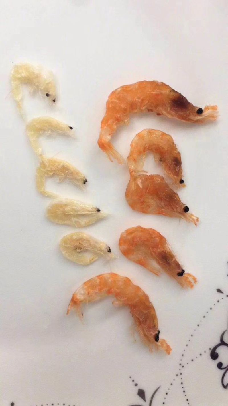南极鳞虾虾皮