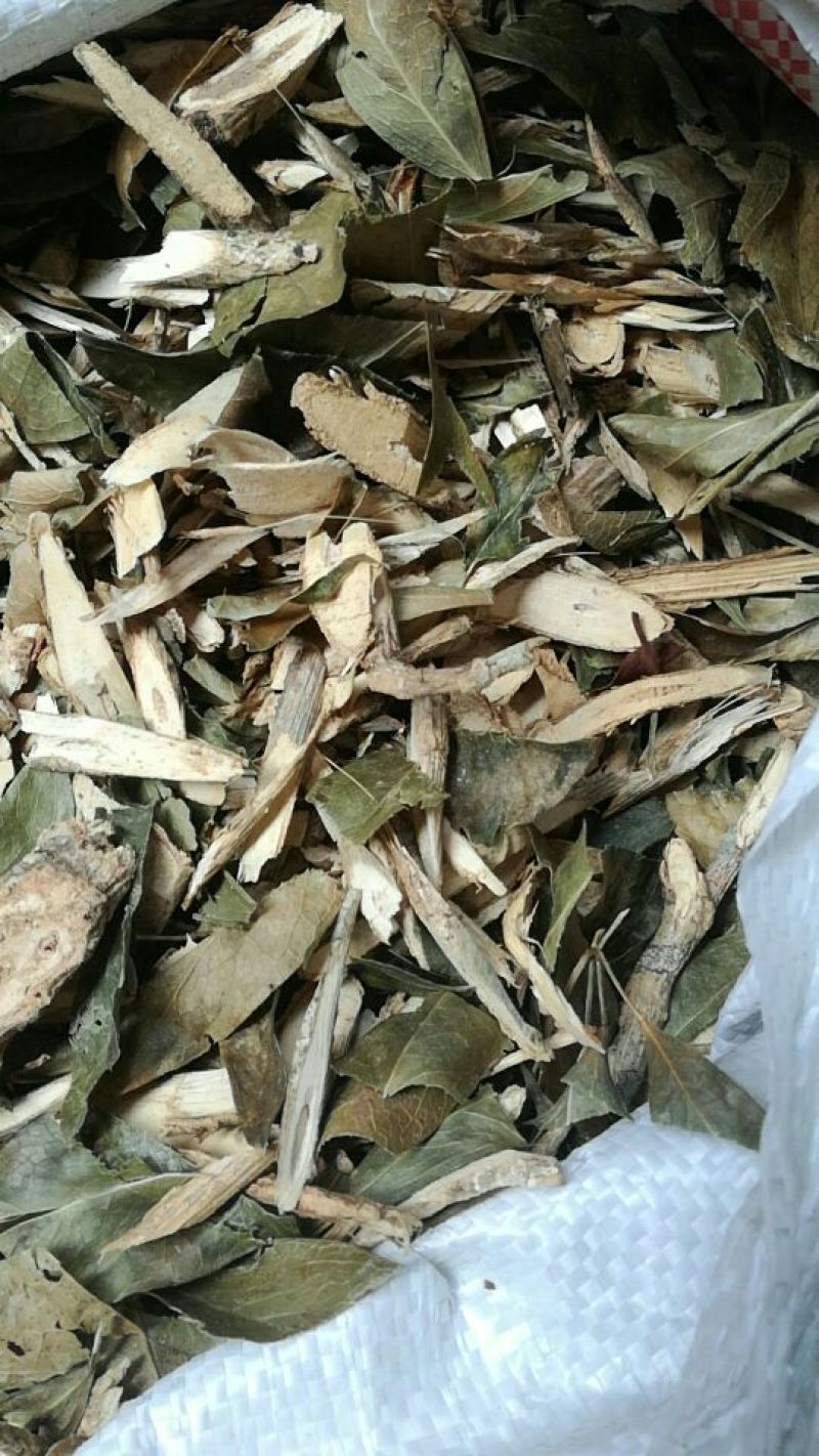 七叶莲，切片加工