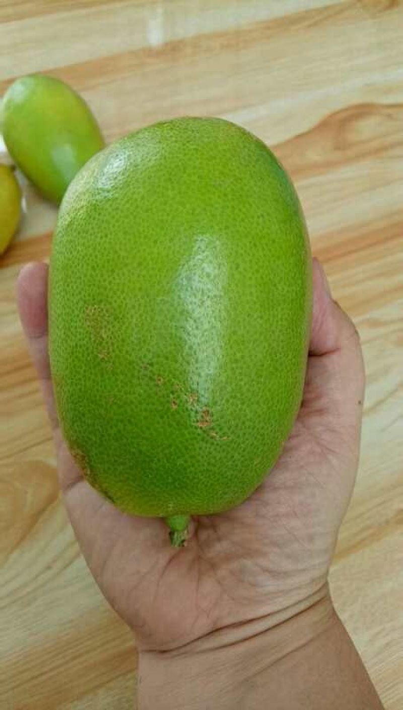 台湾无籽香水柠檬