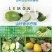 台湾无籽香水柠檬