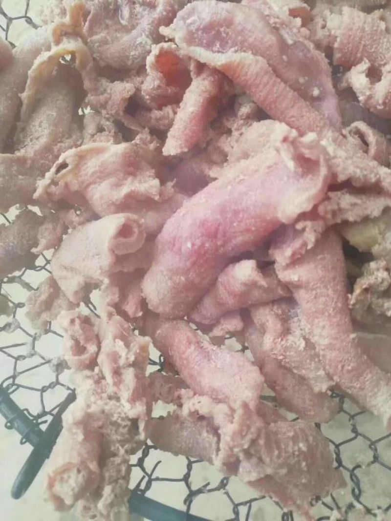 牛杂筋