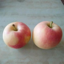 新鲜嘎啦苹果
