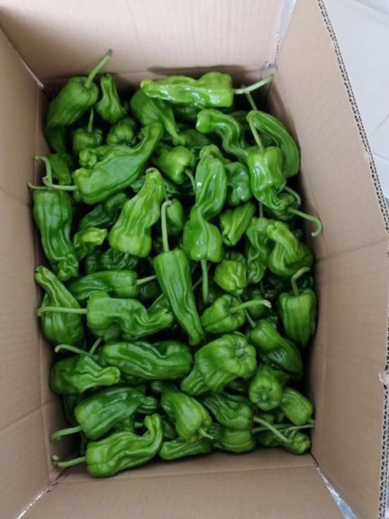 芜湖椒随行就市兴山芜湖椒品质第一