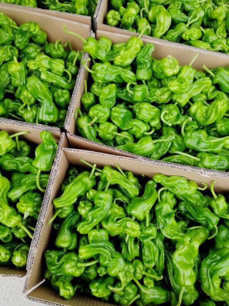 芜湖椒随行就市兴山芜湖椒品质第一