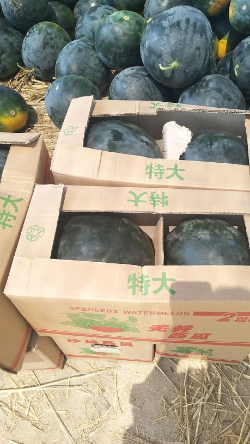 精品*^O^*黑无籽，十斤起步，九成熟，头茬瓜