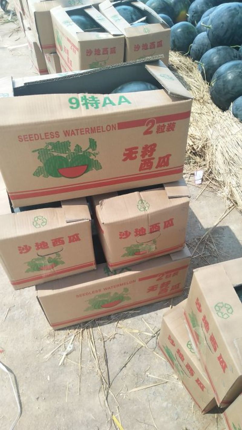 精品*^O^*黑无籽，十斤起步，九成熟，头茬瓜