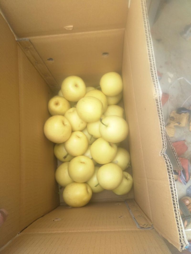 皇冠2018