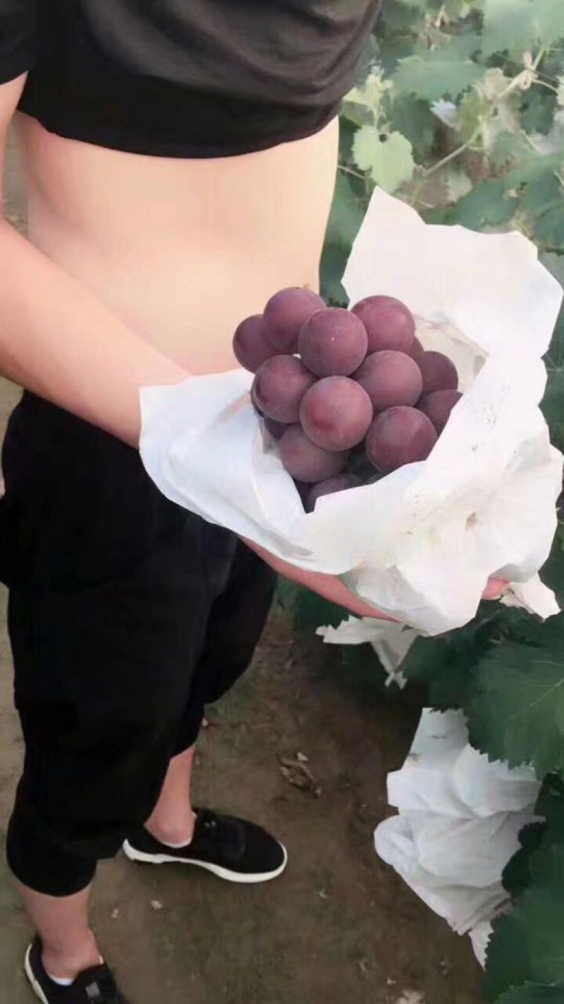大穗大粒！！！