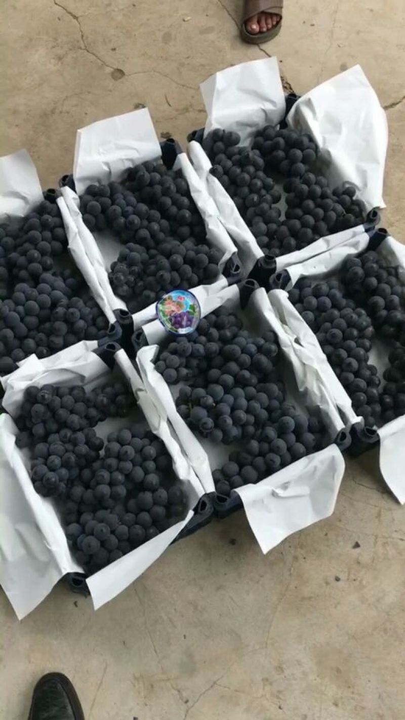 这货你懂的