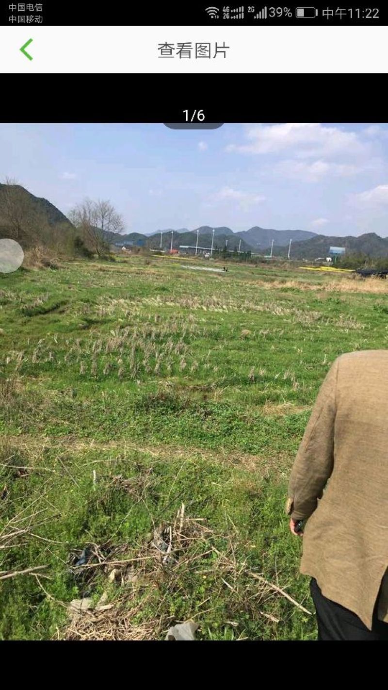 220亩旱地出租