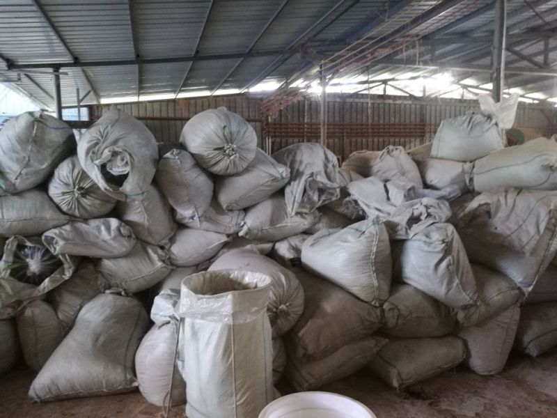 高海拔高山茶叶红茶绿茶乌龙茶白茶牡丹茶