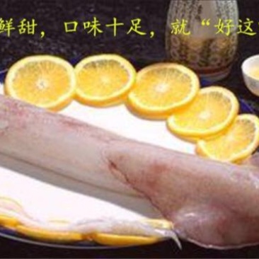 手钓鱿鱼，肉质柔细腻，口感酥脆甜爽，鲜活速冻