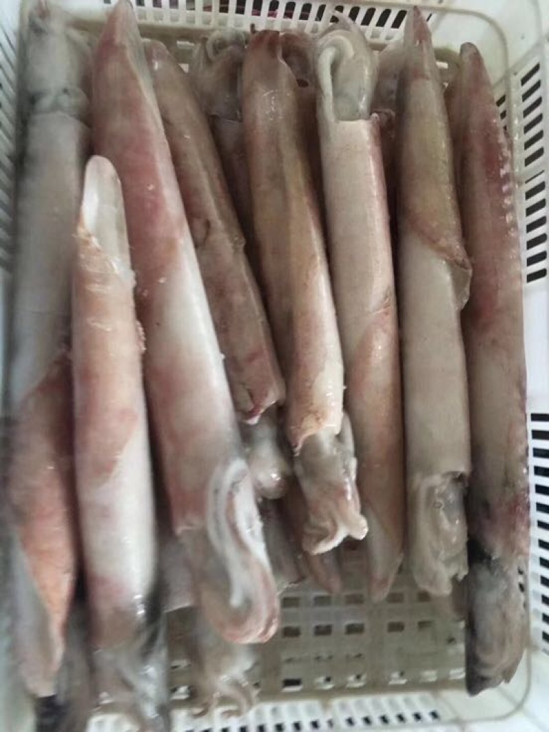手钓鱿鱼，肉质柔细腻，口感酥脆甜爽，鲜活速冻
