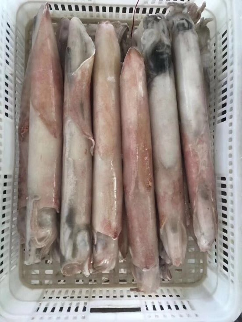 手钓鱿鱼，肉质柔细腻，口感酥脆甜爽，鲜活速冻