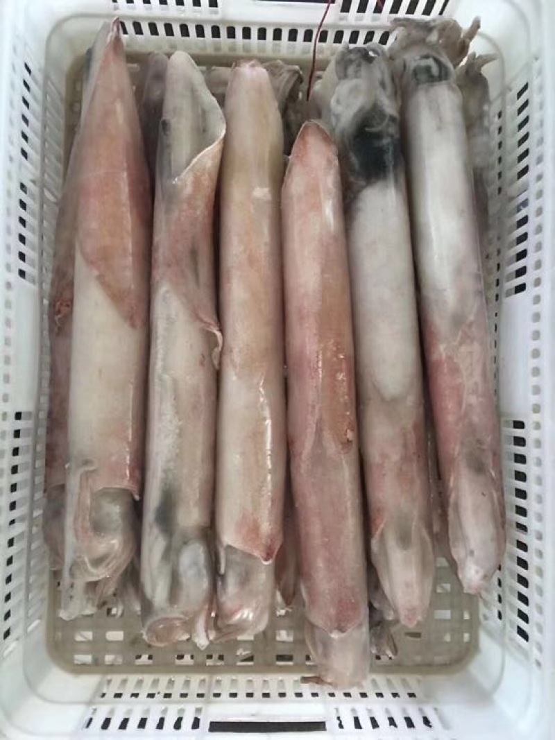 手钓鱿鱼，肉质柔细腻，口感酥脆甜爽，鲜活速冻
