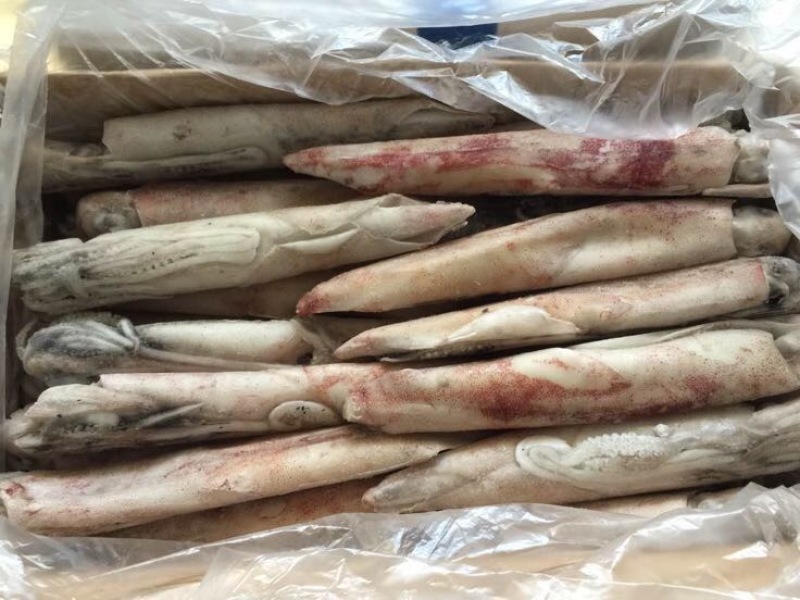 手钓鱿鱼，肉质柔细腻，口感酥脆甜爽，鲜活速冻