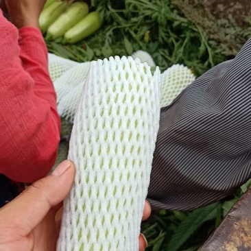 精品西葫芦量大