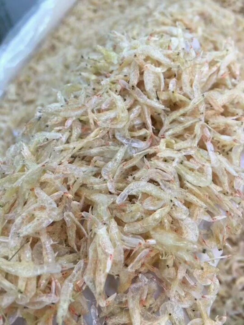 虾皮