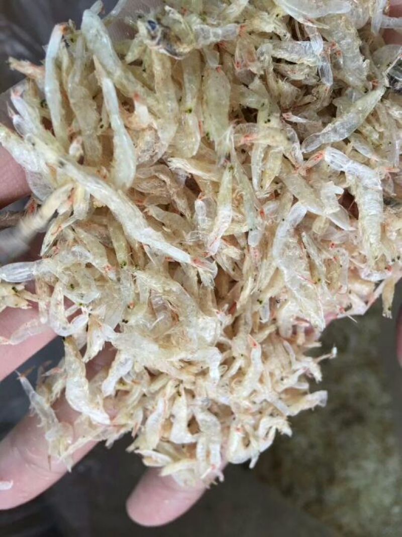 虾皮