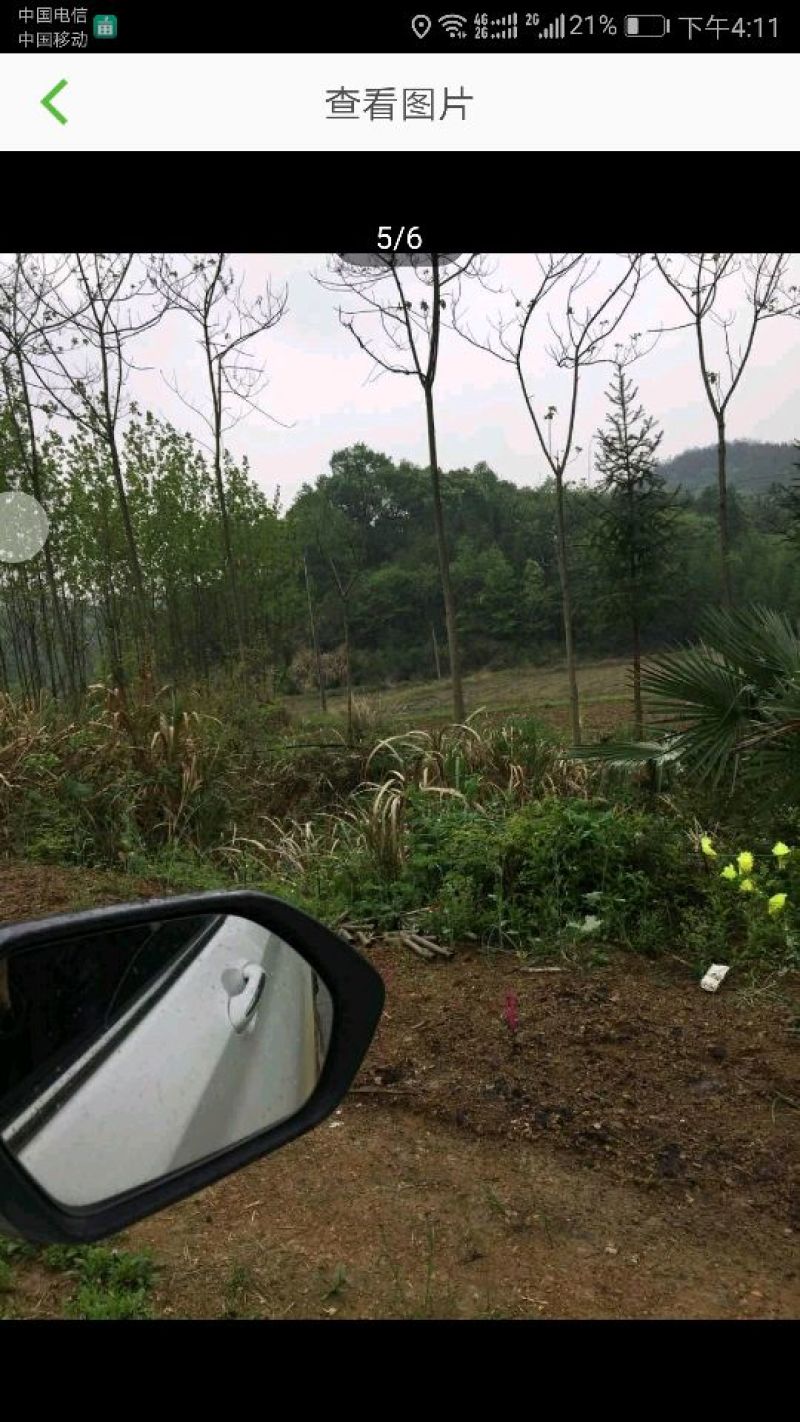 2000亩林下养殖地出租