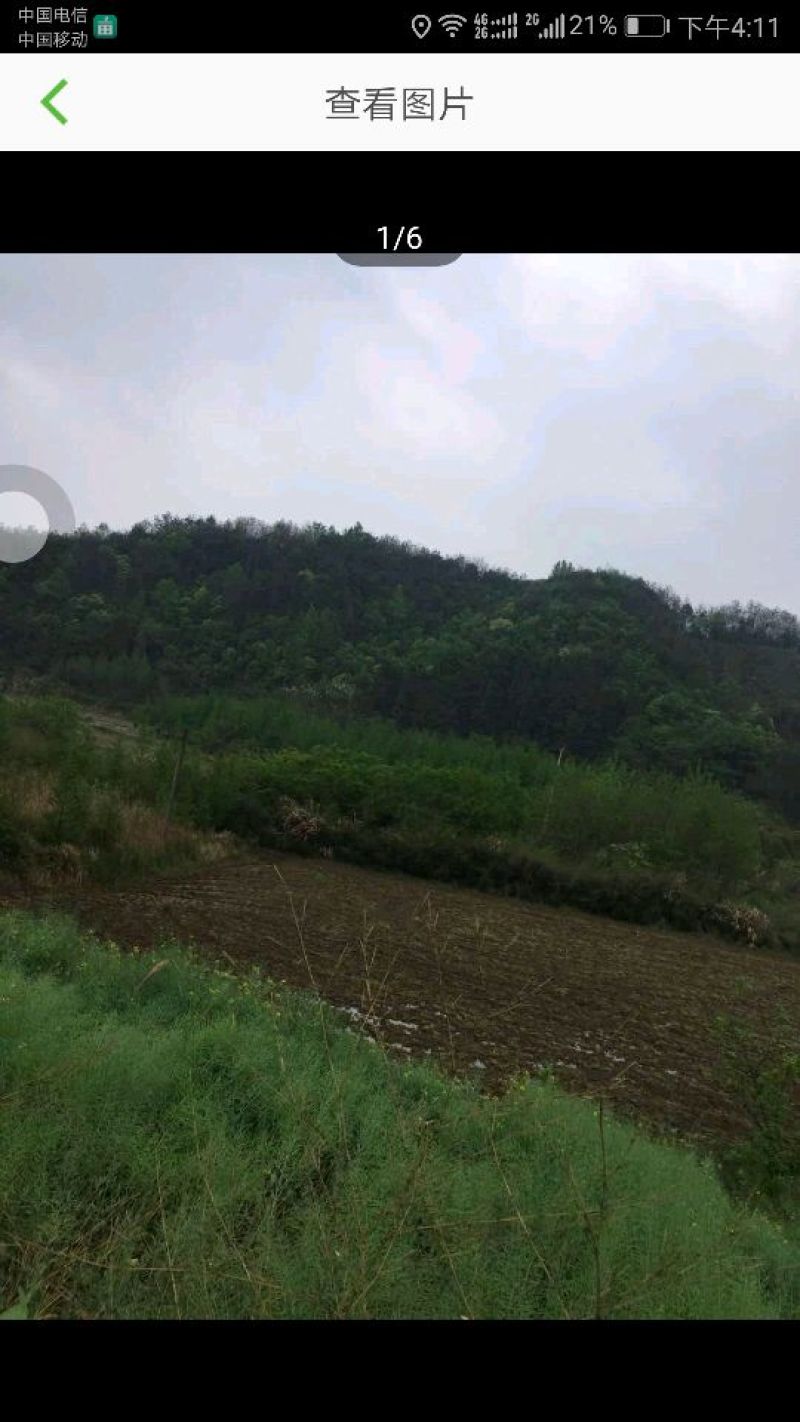 2000亩林下养殖地出租