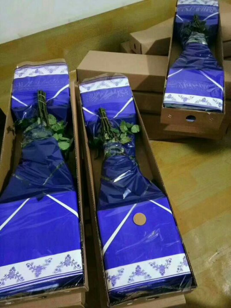各色玫瑰花，一扎20支