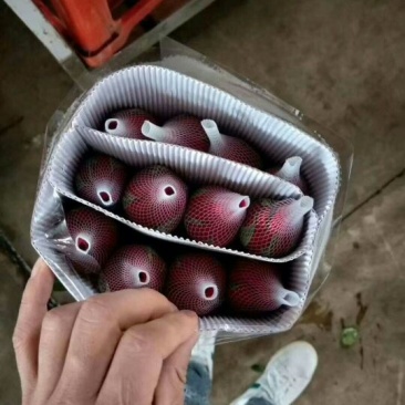 各色玫瑰花，一扎20支