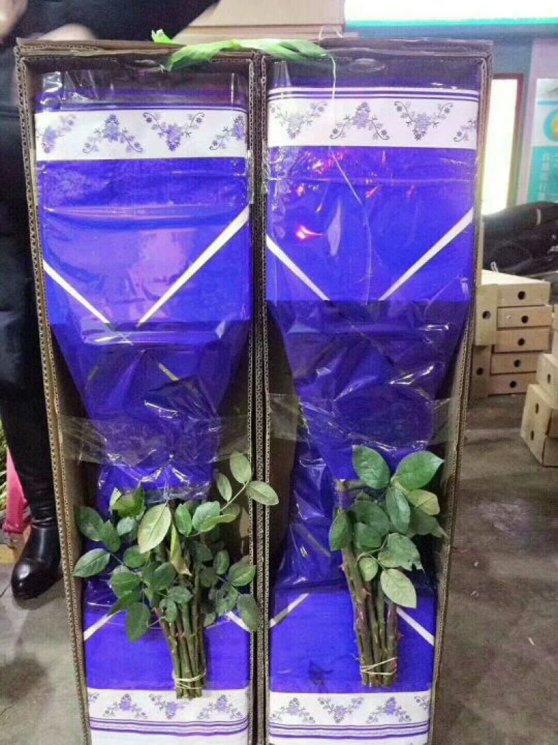 各色玫瑰花，一扎20支
