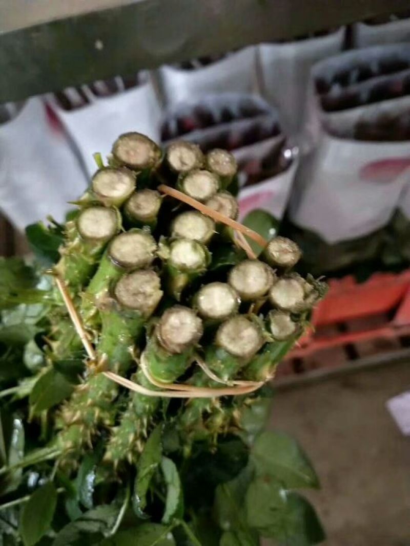各色玫瑰花，一扎20支