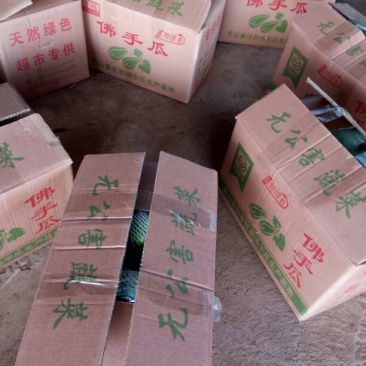 佛手瓜