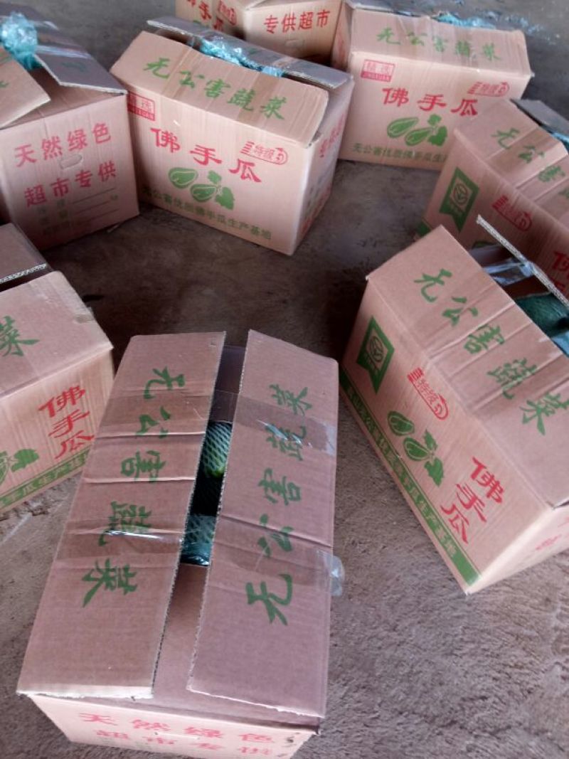 佛手瓜