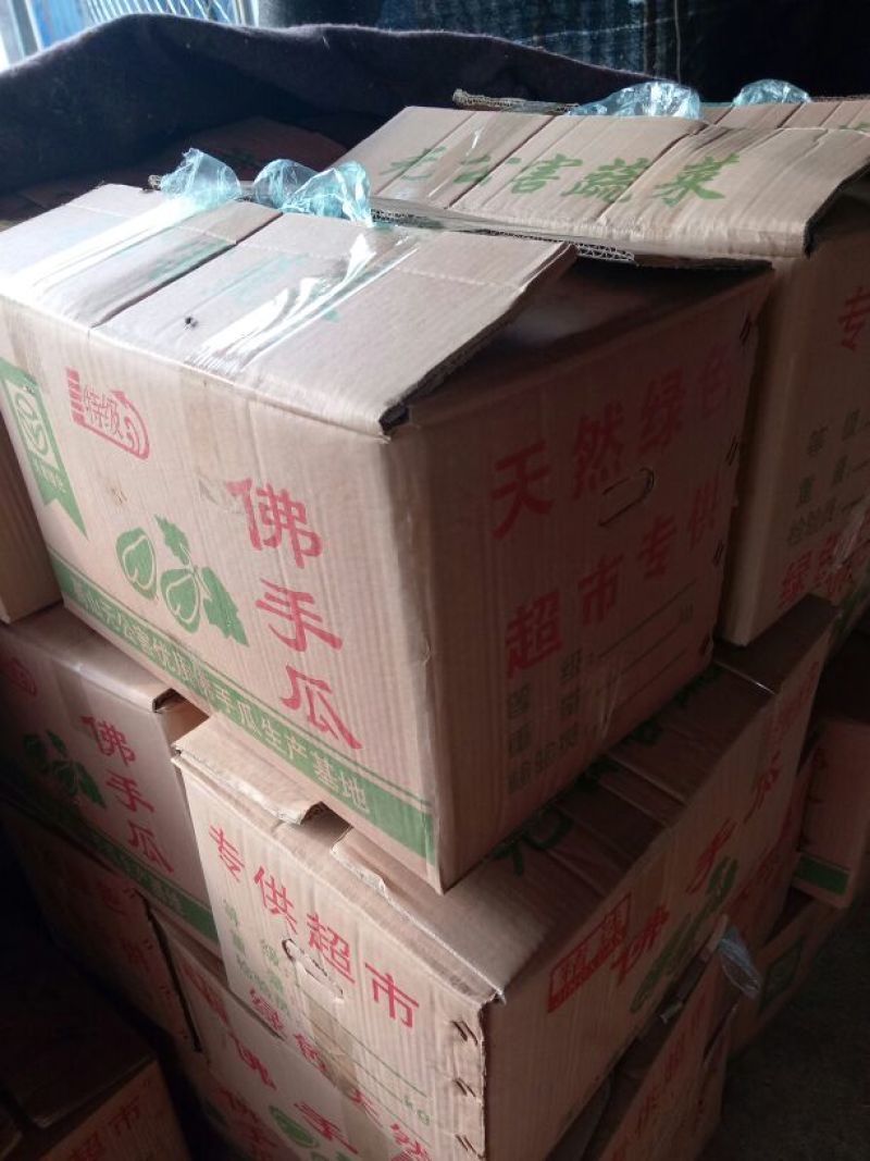 佛手瓜