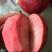 【推荐现起苗】红肉苹果苗、8月中旬成熟单果重250克左右