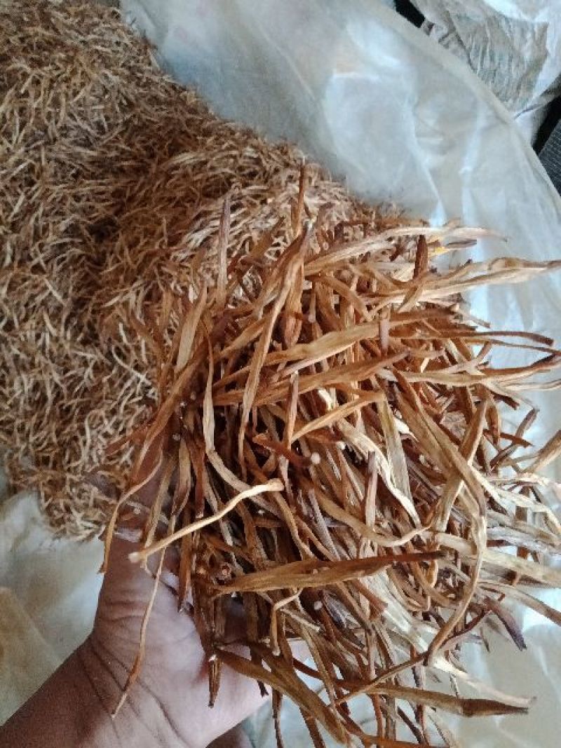 小锅蒸熟条无硫新鲜黄花菜金针菜干货500g包邮送礼佳品