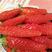 香蕉草莓苗纯正品种口感好奶油草莓苗，章姬草莓苗