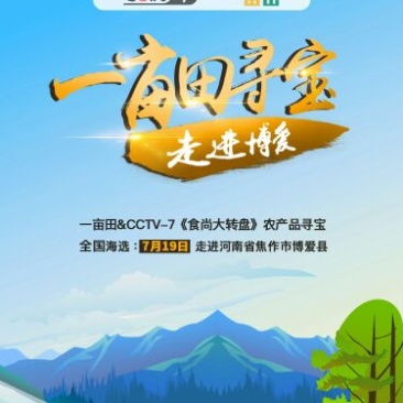 除草布