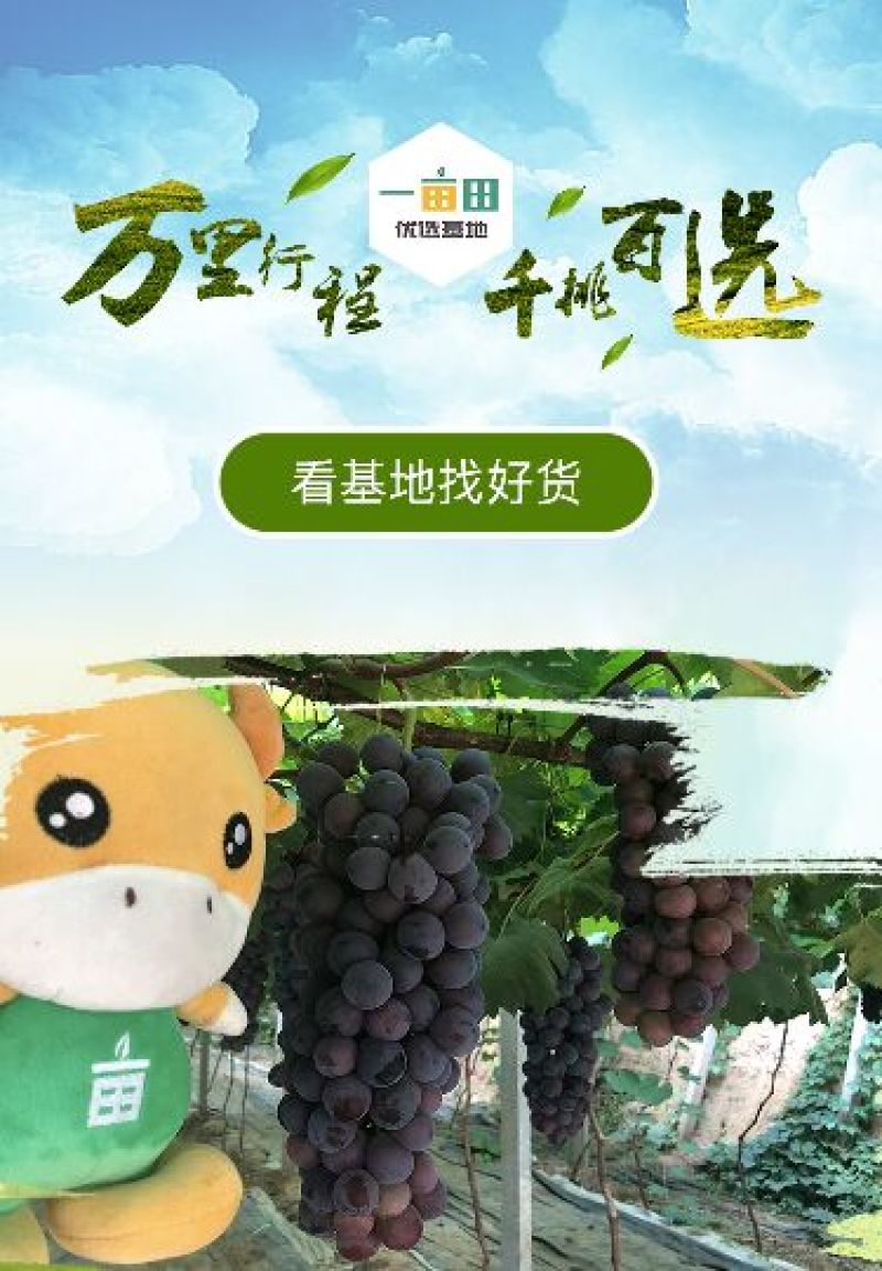除草布