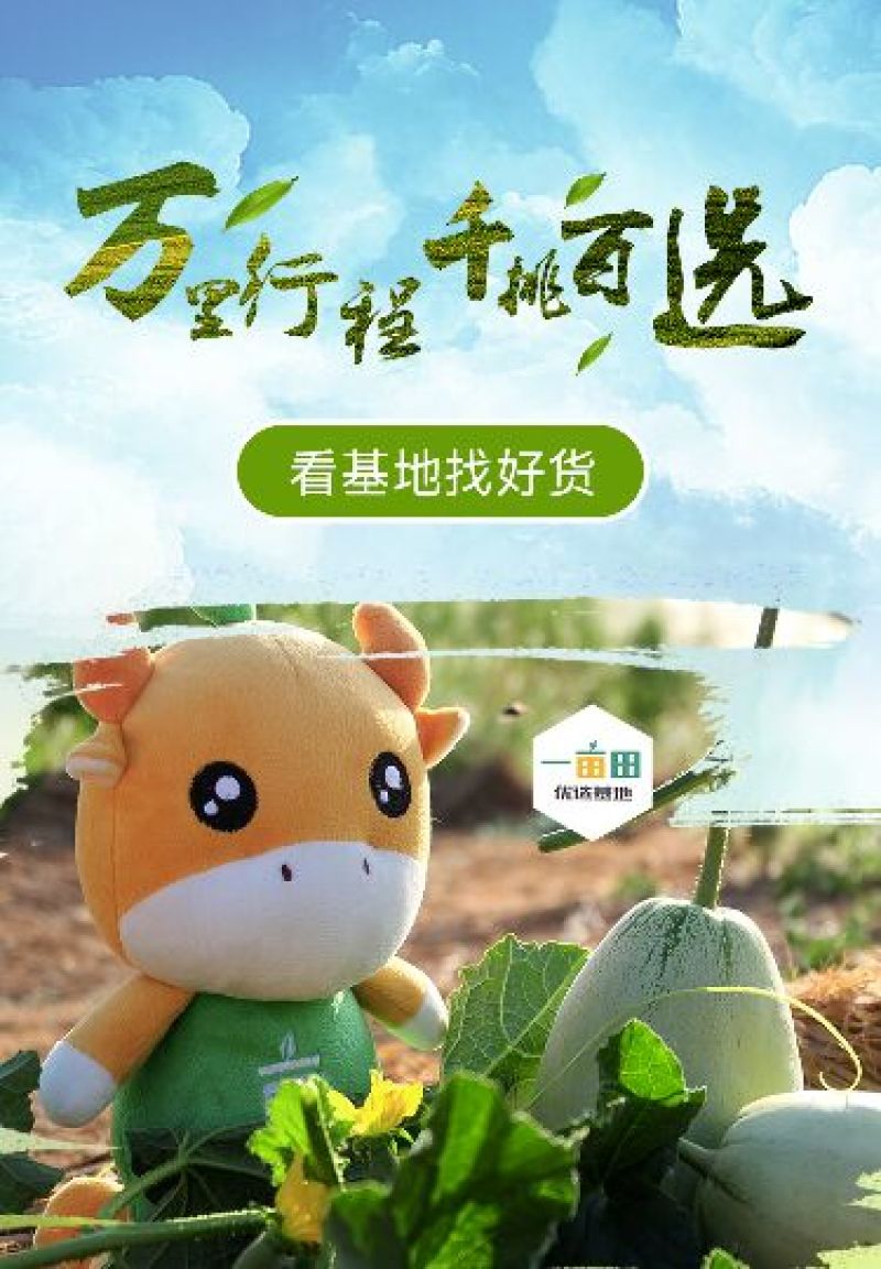 除草布