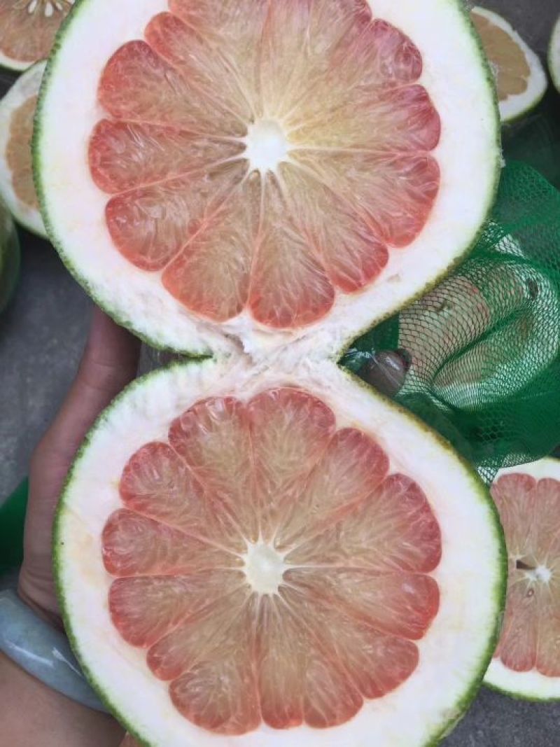 越南青皮红心蜜柚