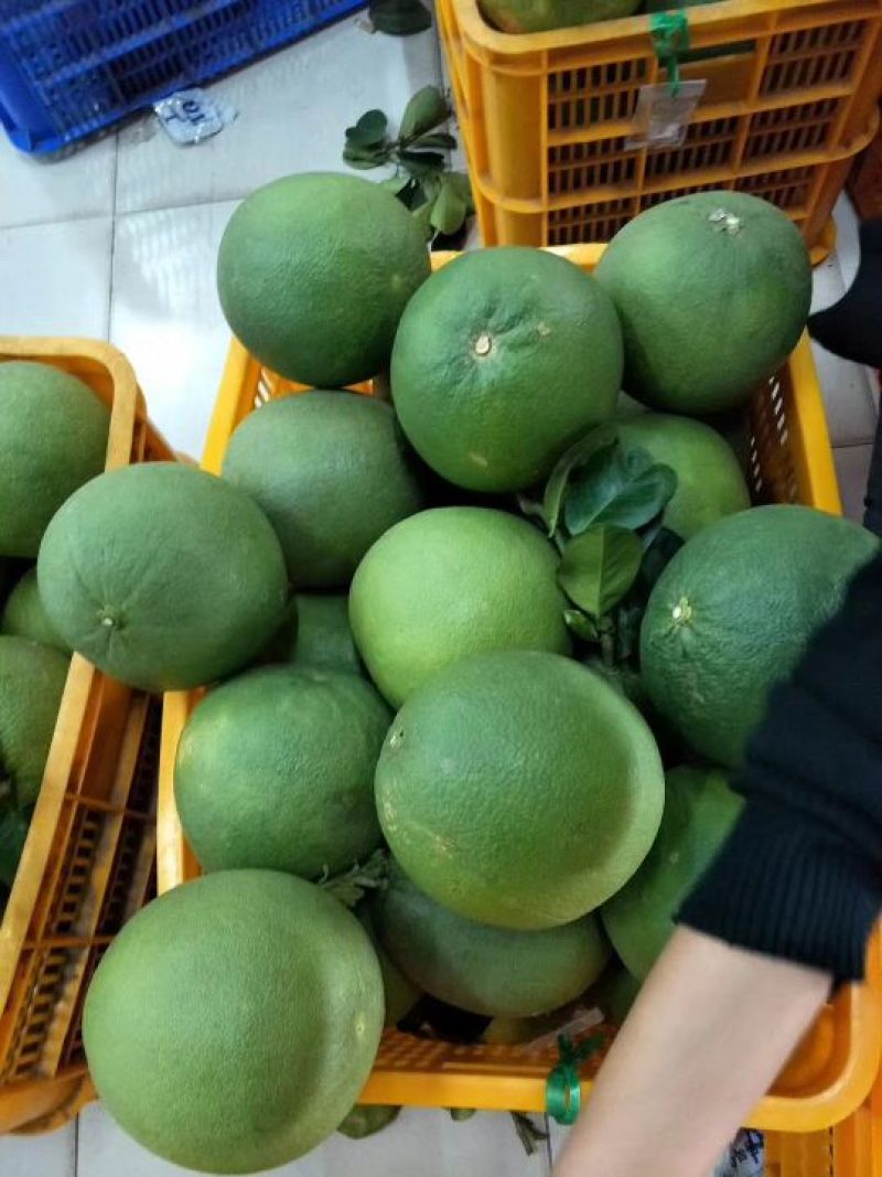 越南青皮红心蜜柚