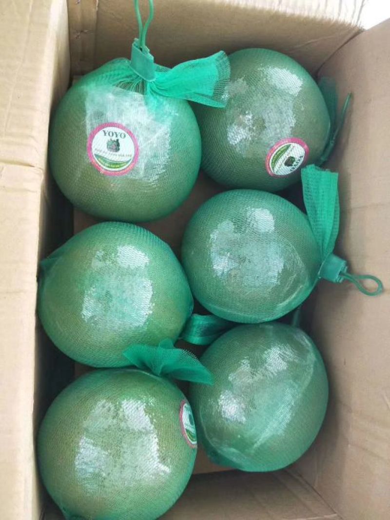 越南青皮红心蜜柚
