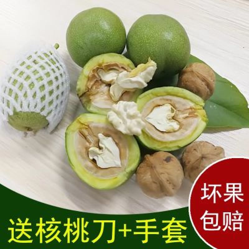 垣曲青皮核桃一件代发才下枝头就上舌尖
