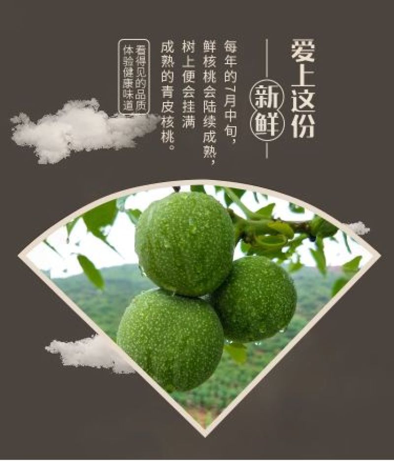 垣曲青皮核桃一件代发才下枝头就上舌尖